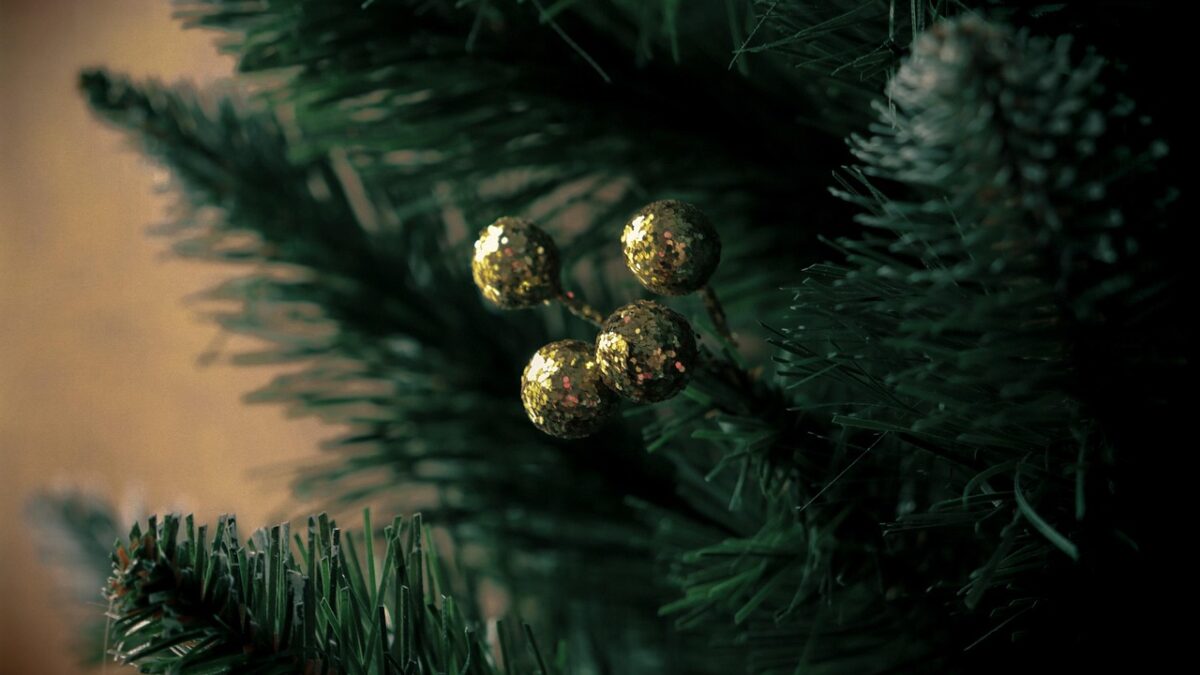 Weekly Economic News Roundup and Christmas trees