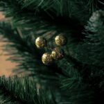 Weekly Economic News Roundup and Christmas trees