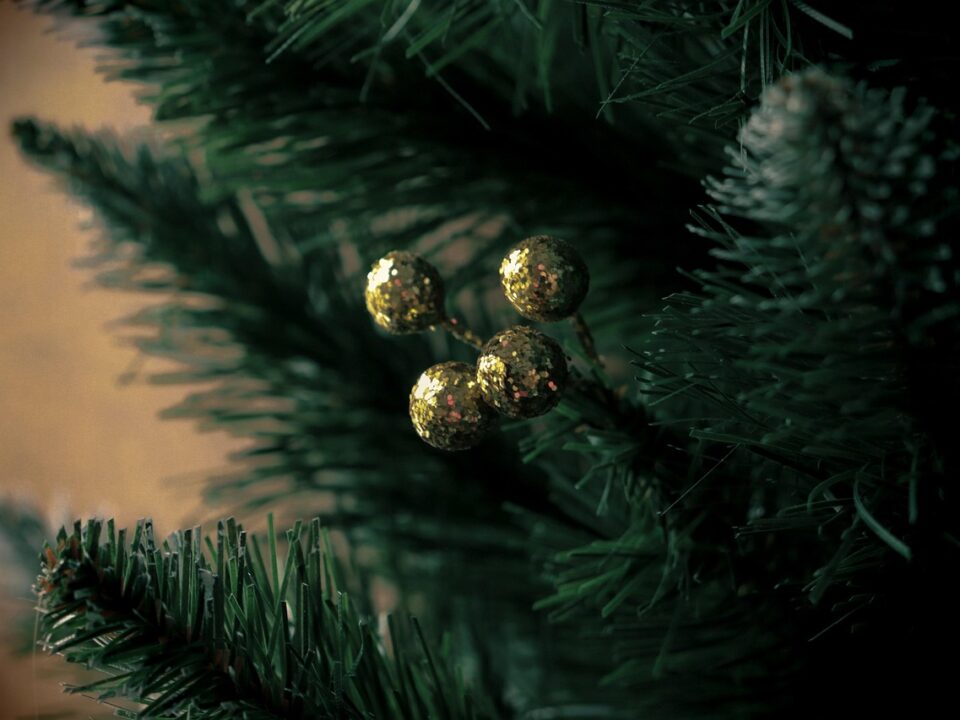 Weekly Economic News Roundup and Christmas trees