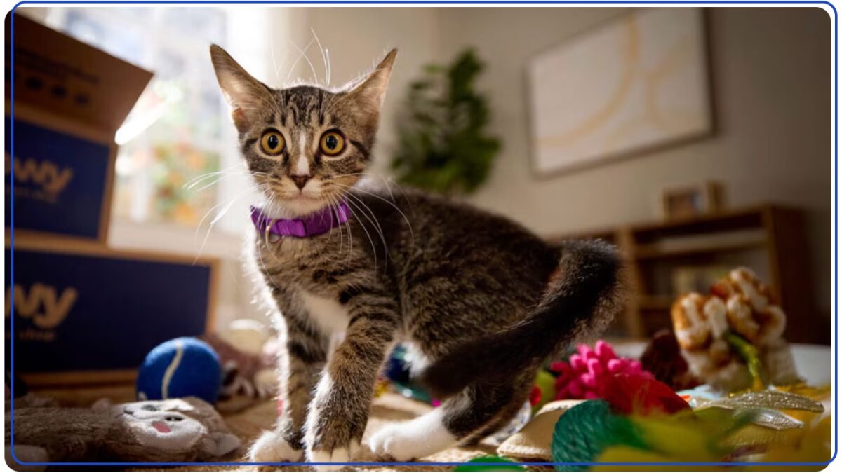 Weekly Economic News Roundup and cat spending