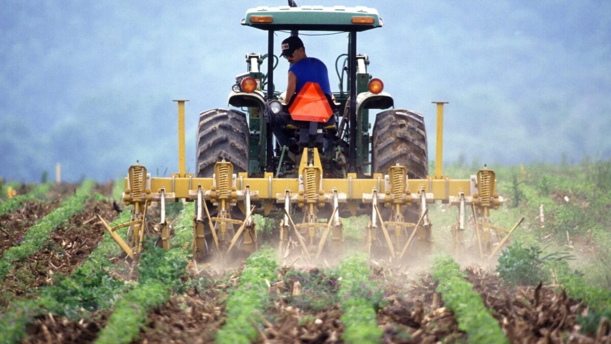 Weekly Economic News Roundup and farmers' cost price squeeze
