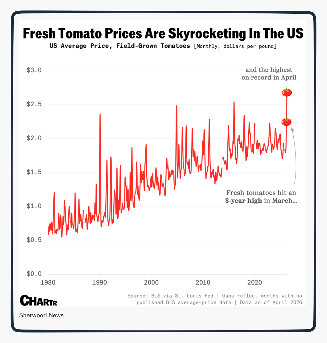 tomato prices