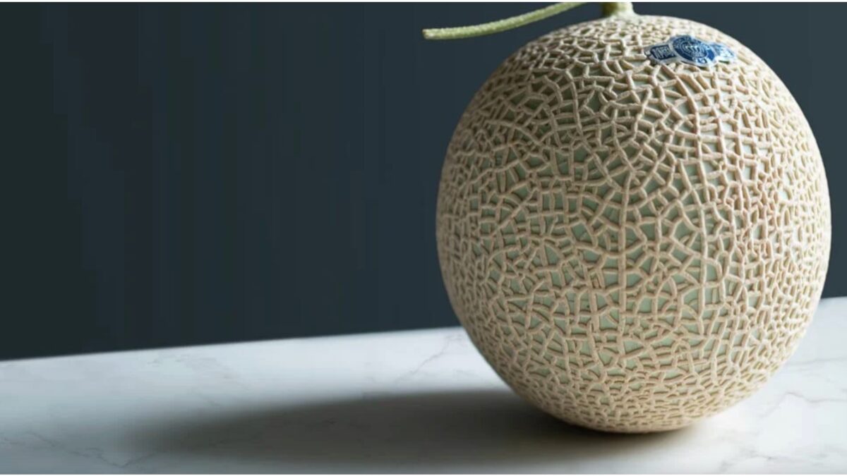 Yubari melon