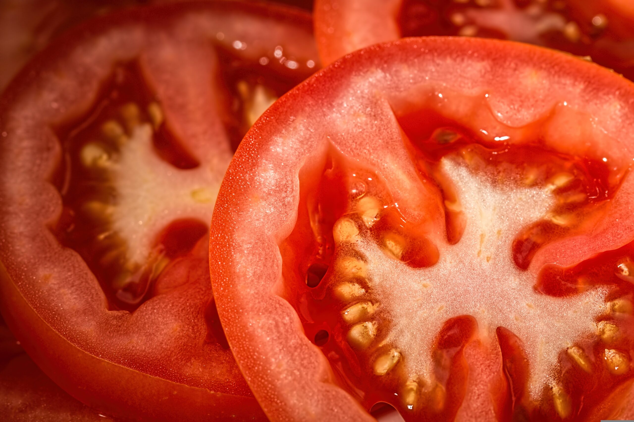 Weekly Economic News Roundup and tomato prices