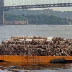 Our Weekly Economic News Roundup and the Mobro garbage