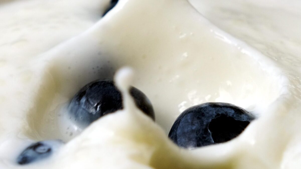 six yogurt stories