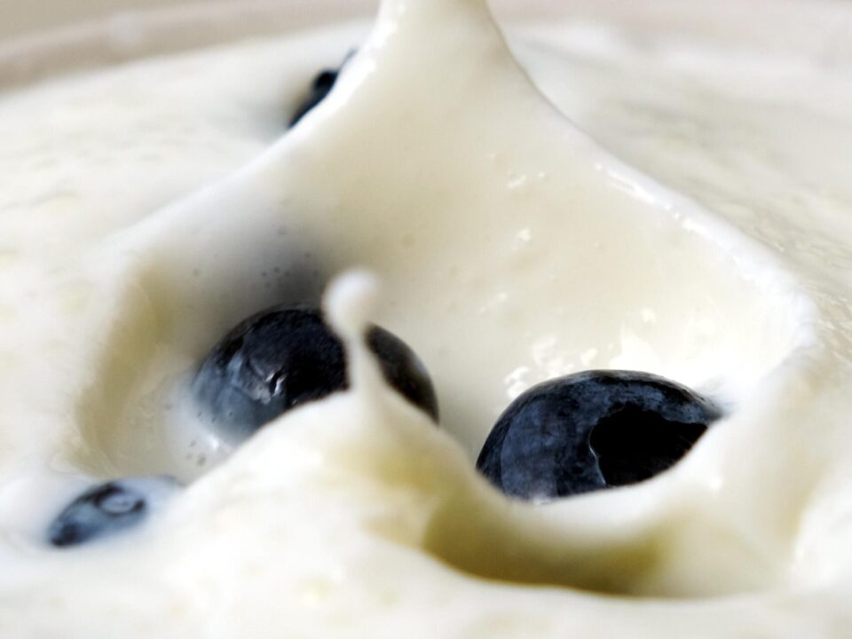 six yogurt stories