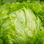 lWeekly Economic News Roundup and ettuce recall costs