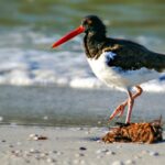 Weekly Roundup​​​​​​​​​​​​​​​​​​​​​​​​​​​​​​​​​​​​​​​​​​​ and sand demand