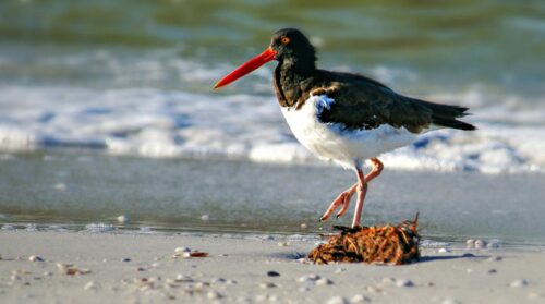 Weekly Roundup​​​​​​​​​​​​​​​​​​​​​​​​​​​​​​​​​​​​​​​​​​​ and sand demand